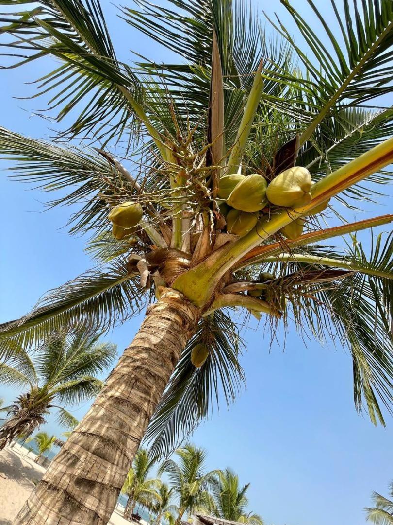Santana Beachclub Sanyang Dış mekan fotoğraf